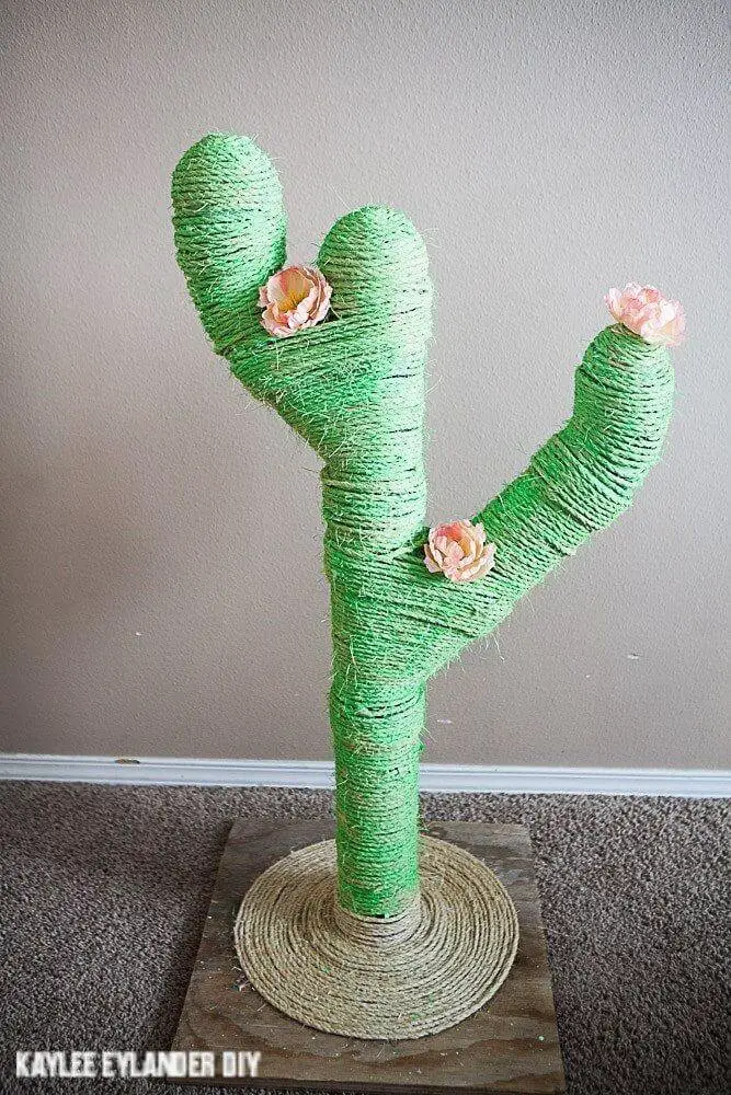 Cat Scratch Cactus