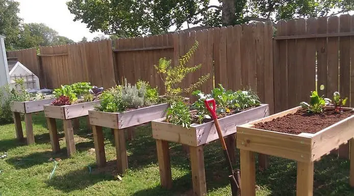 Wood raised bed with bottom shelves