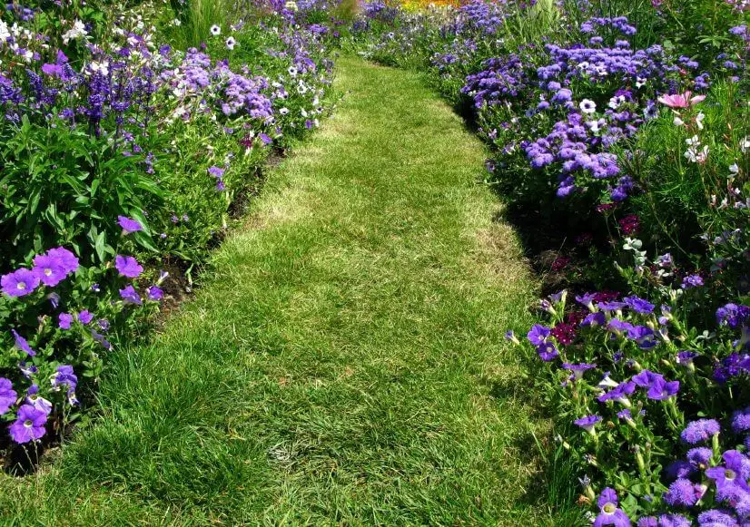 Lettered Stone Garden Path