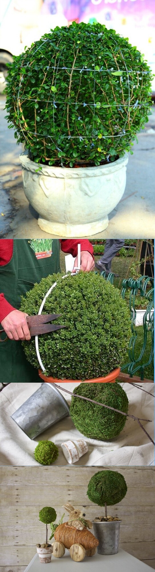 DIY Topiary