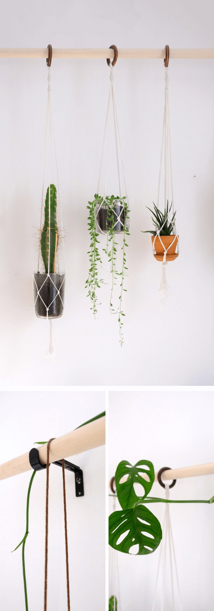 DIY Plant Wall Made from a Broomstick