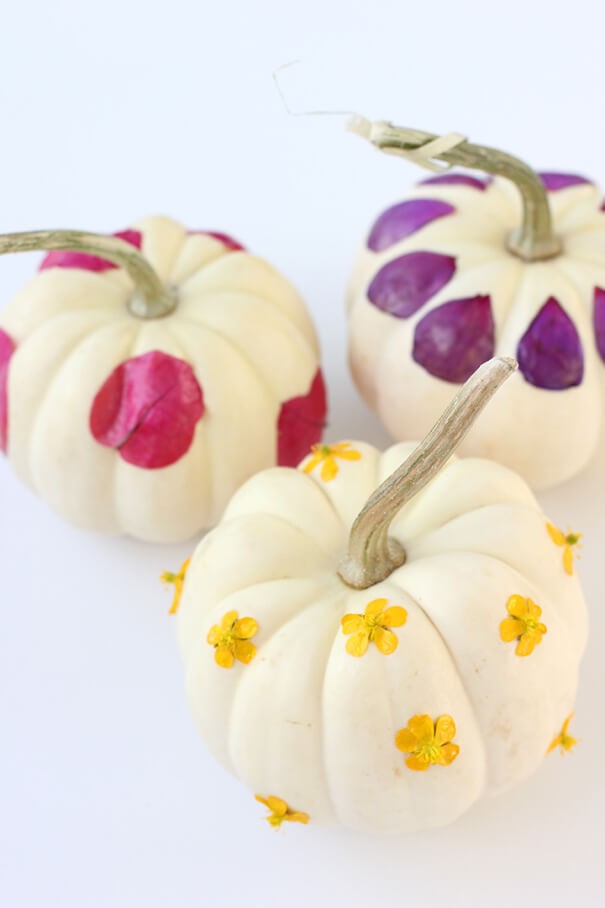 Flower Pumpkin