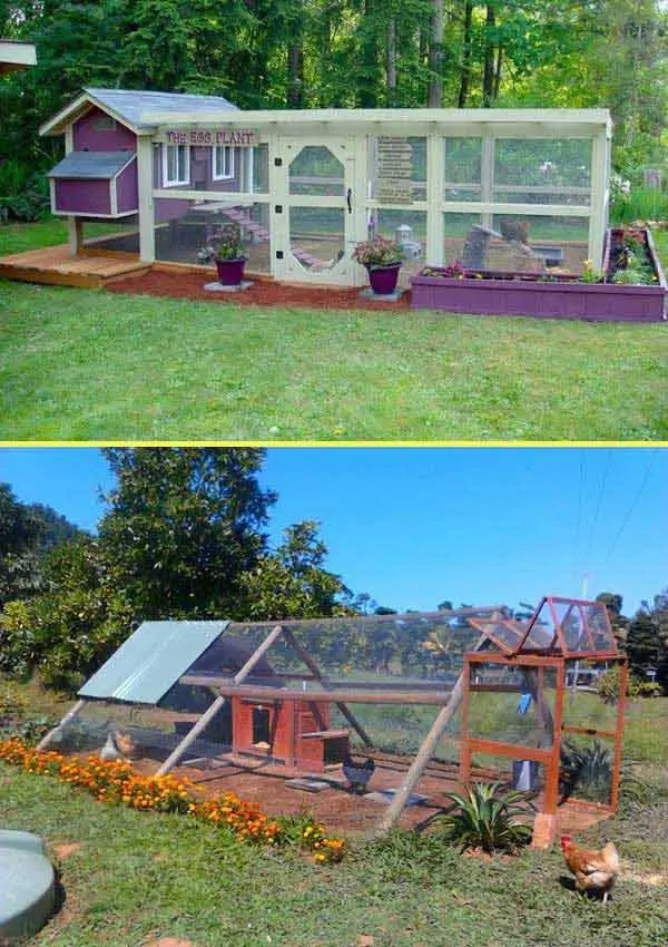 Chicken coop made with nets