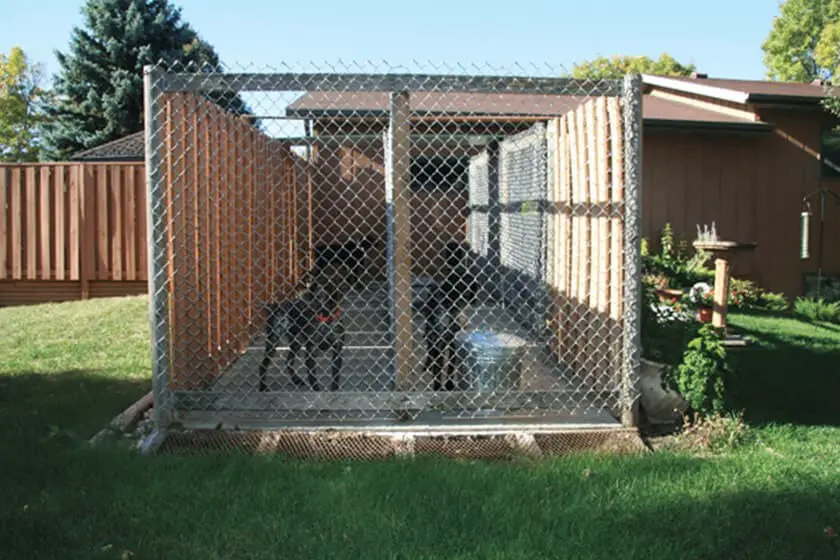 Metal dog fence ideas