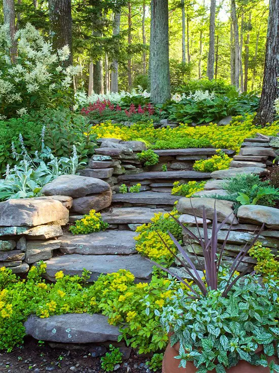 4-7. Stone stairs on a green patch