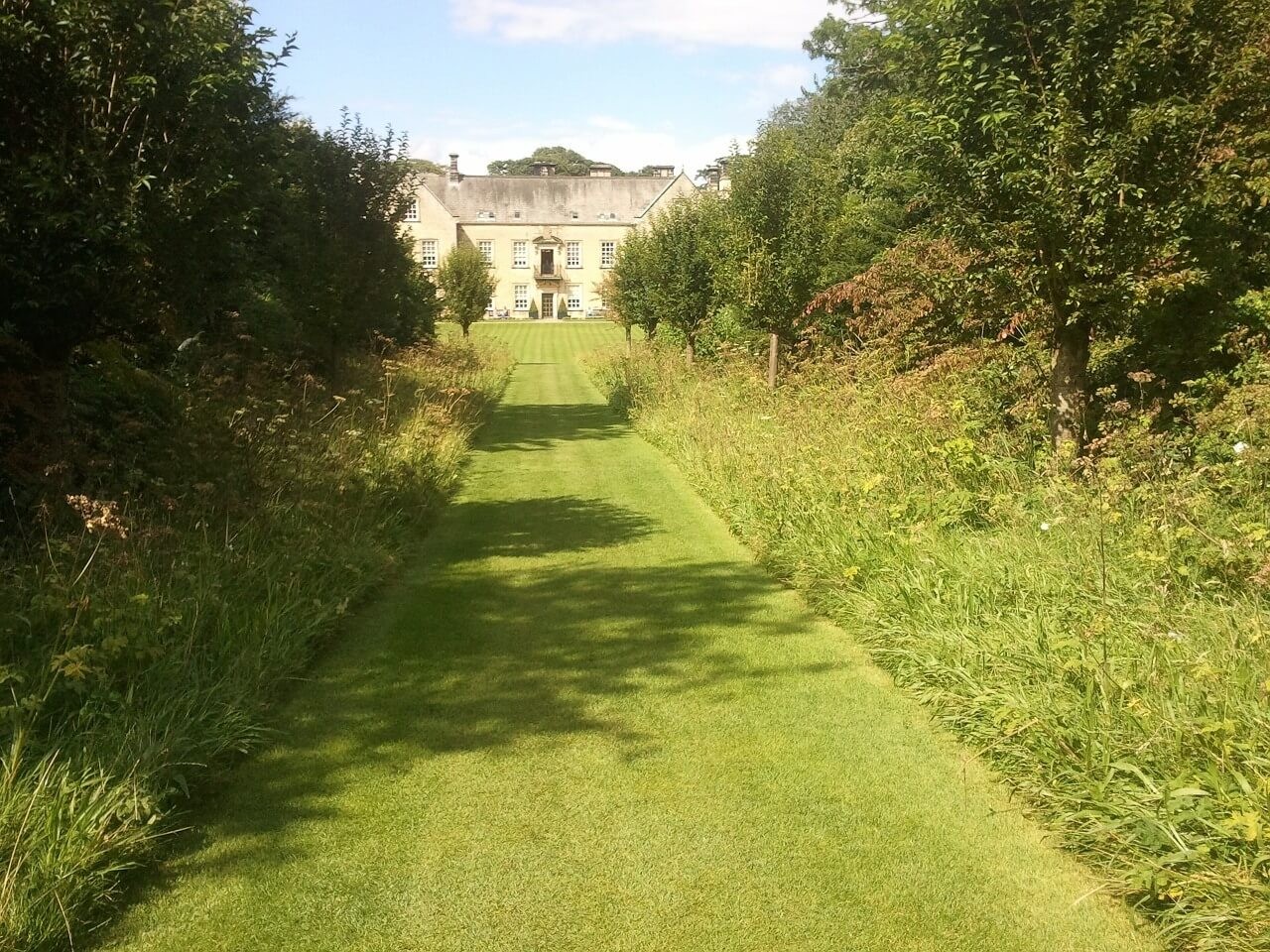 Grass Pathway