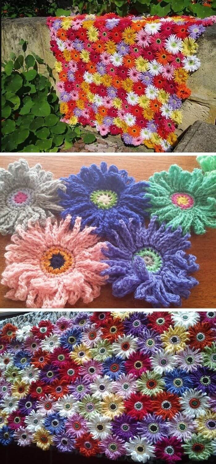 Gerbera garden blanket