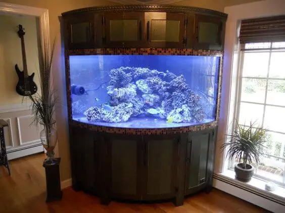 Add an aquarium