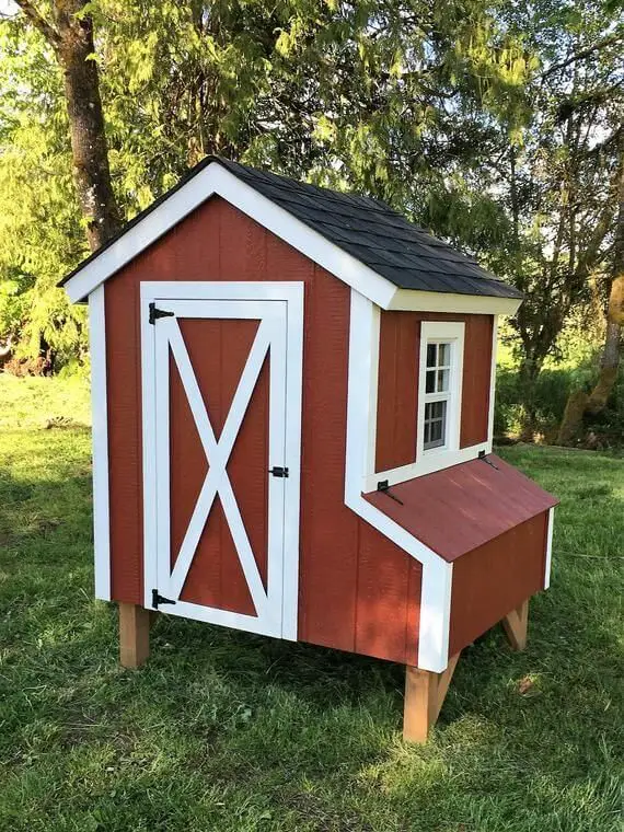 Barn Style Chicken Coop