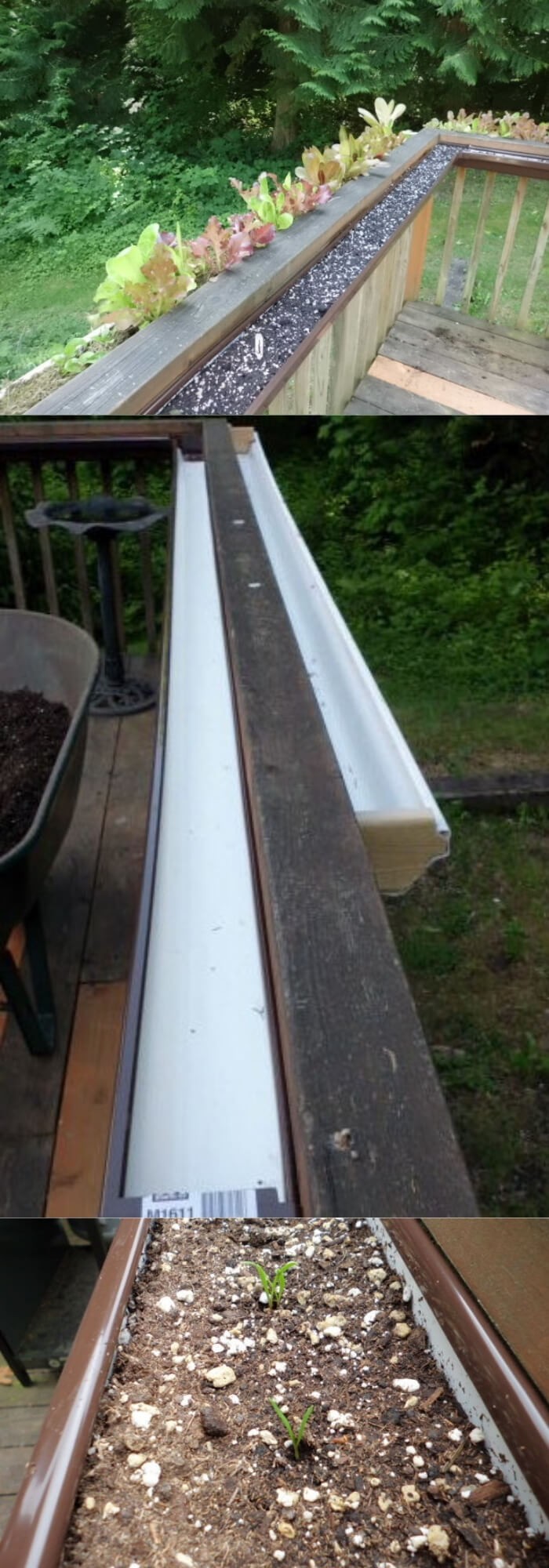 Gutter Gardening on the Deck