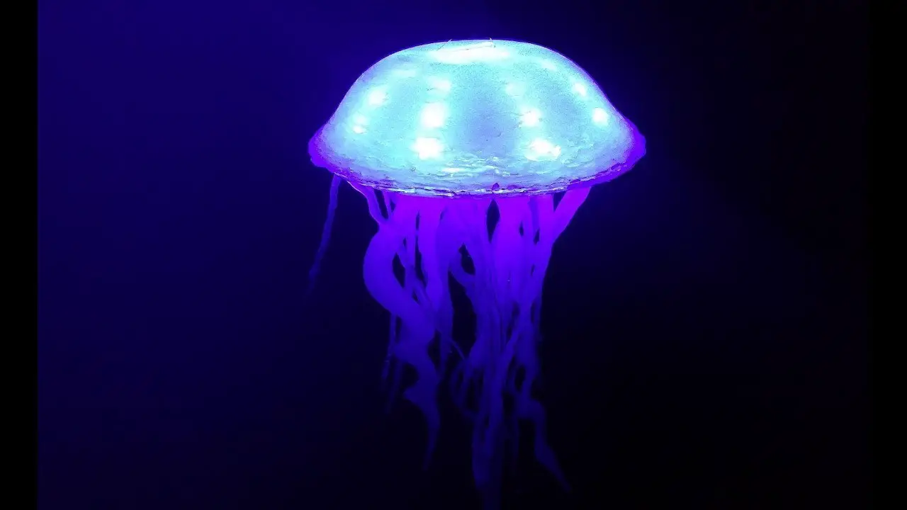 Jelly fish lamps