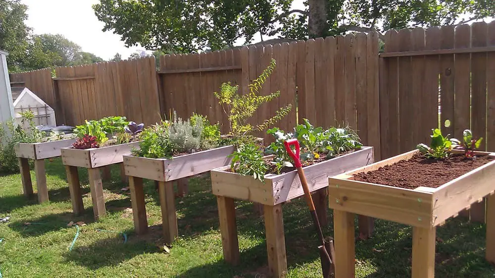 7-8. Counter height raised garden