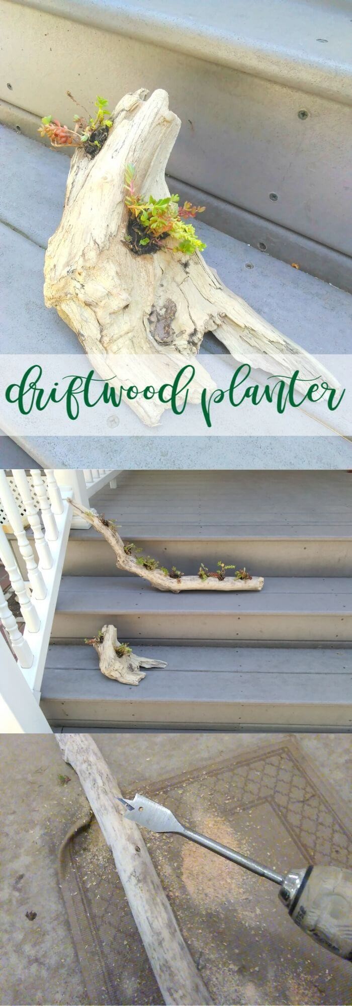 DIY driftwood planter