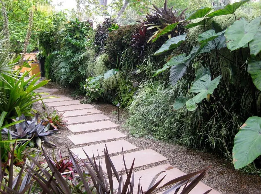 Shade Garden in the Tropics