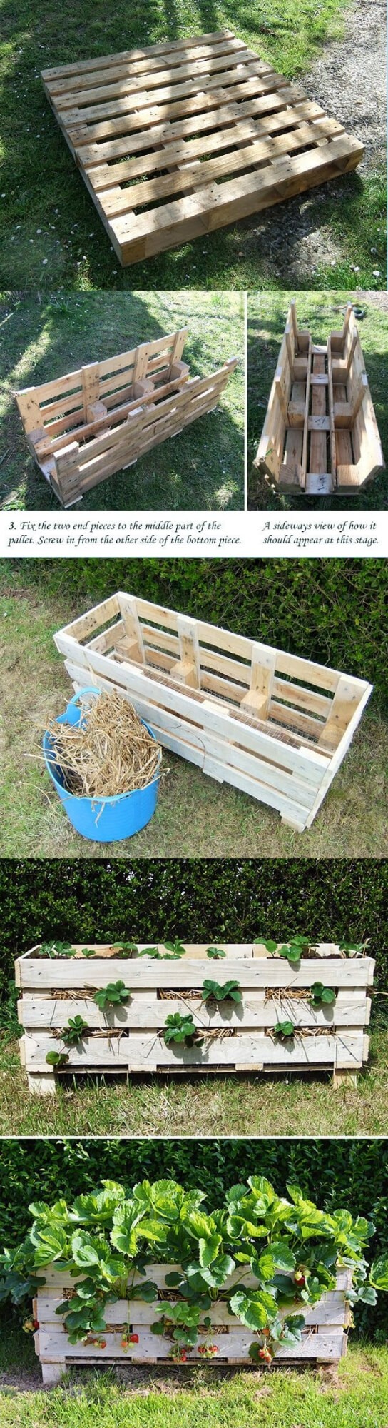 How to use wooden pallet to make strawberry planter