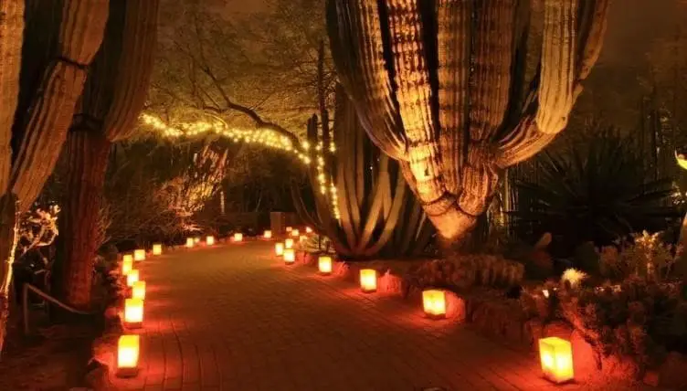 Long driveway lighting ideas