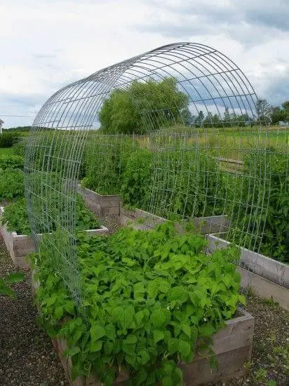 Easy durable Raised Bed Trellising