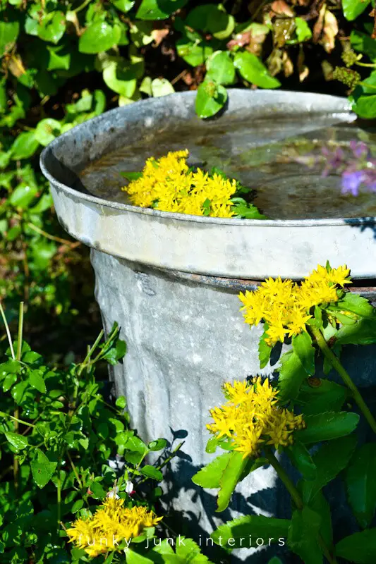 Garbage Can Bird Bath in 5 minutes