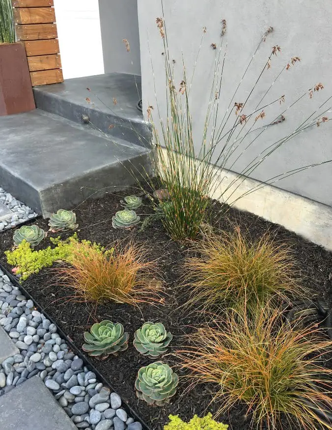 Xeriscaping with Black Mulch