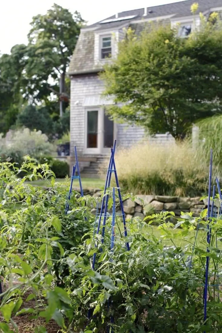 Rhode Island garden’s occasional flashes of color