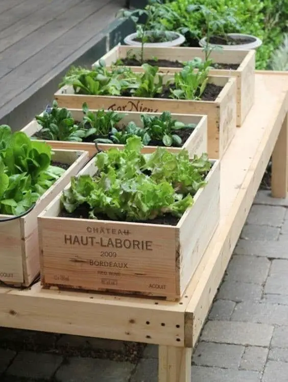 Wine box raised garden bed