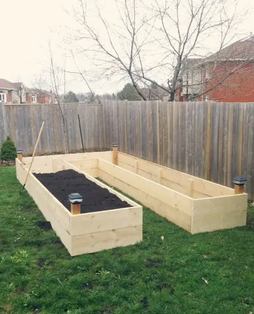 9- U-shaped waist high raised garden bed