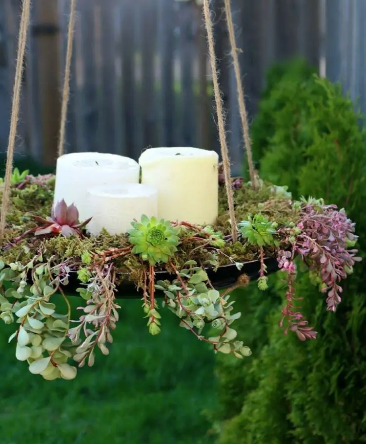 Succulents in a DIY hanging pot