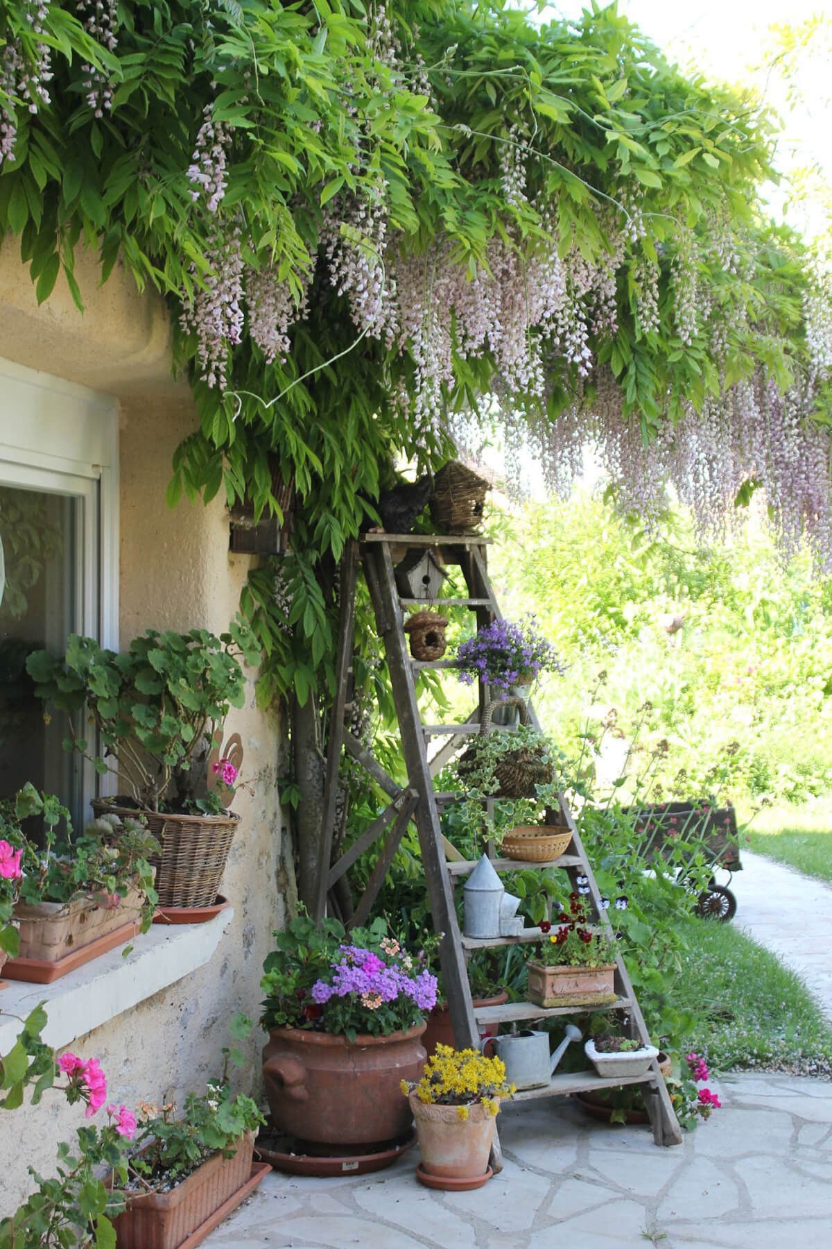 Container Gardening