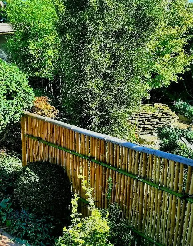 Bamboo Fence Gate