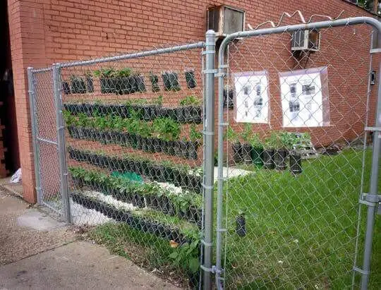 Small Space Vertical Garden Made From Soda Bottles