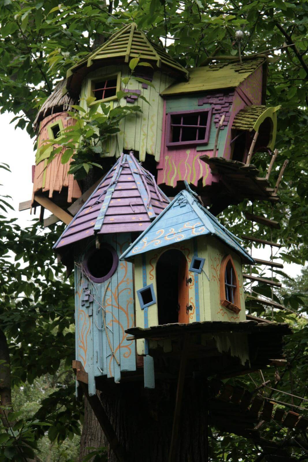 The treehouse