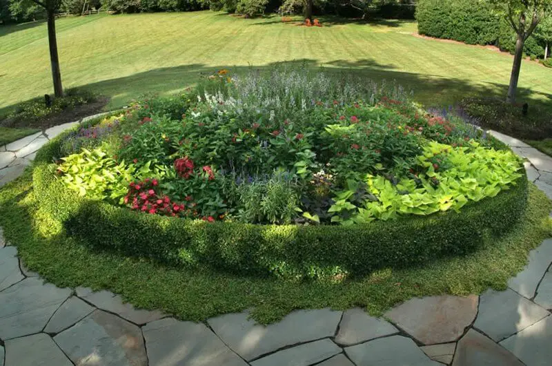 Plants as Garden Bed Edging