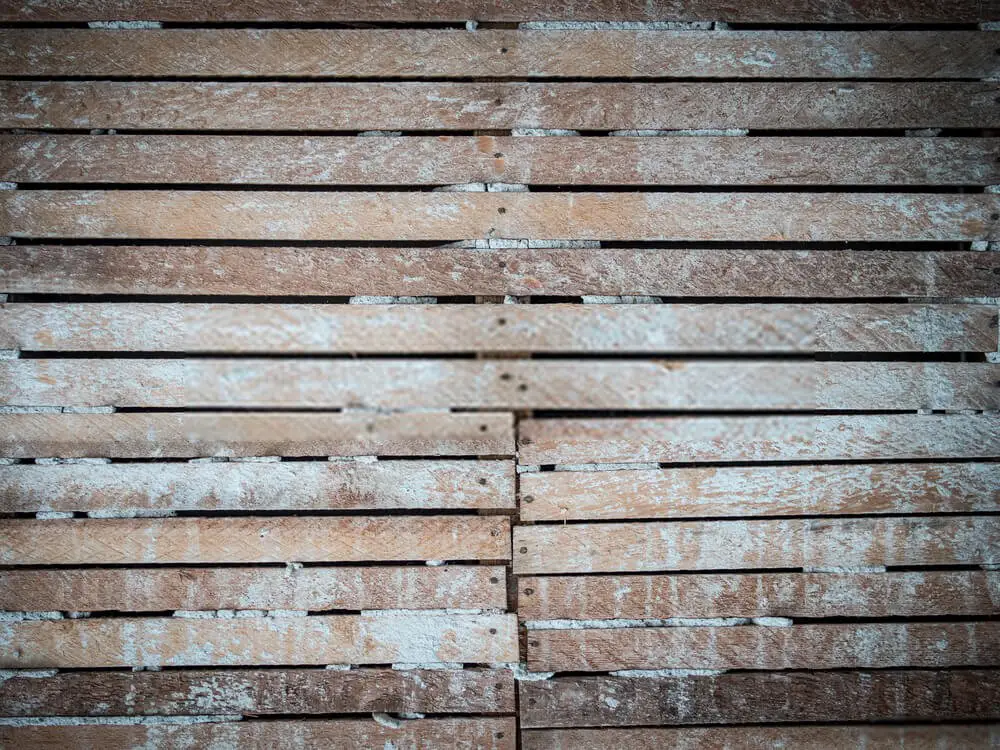 Lath and Plaster