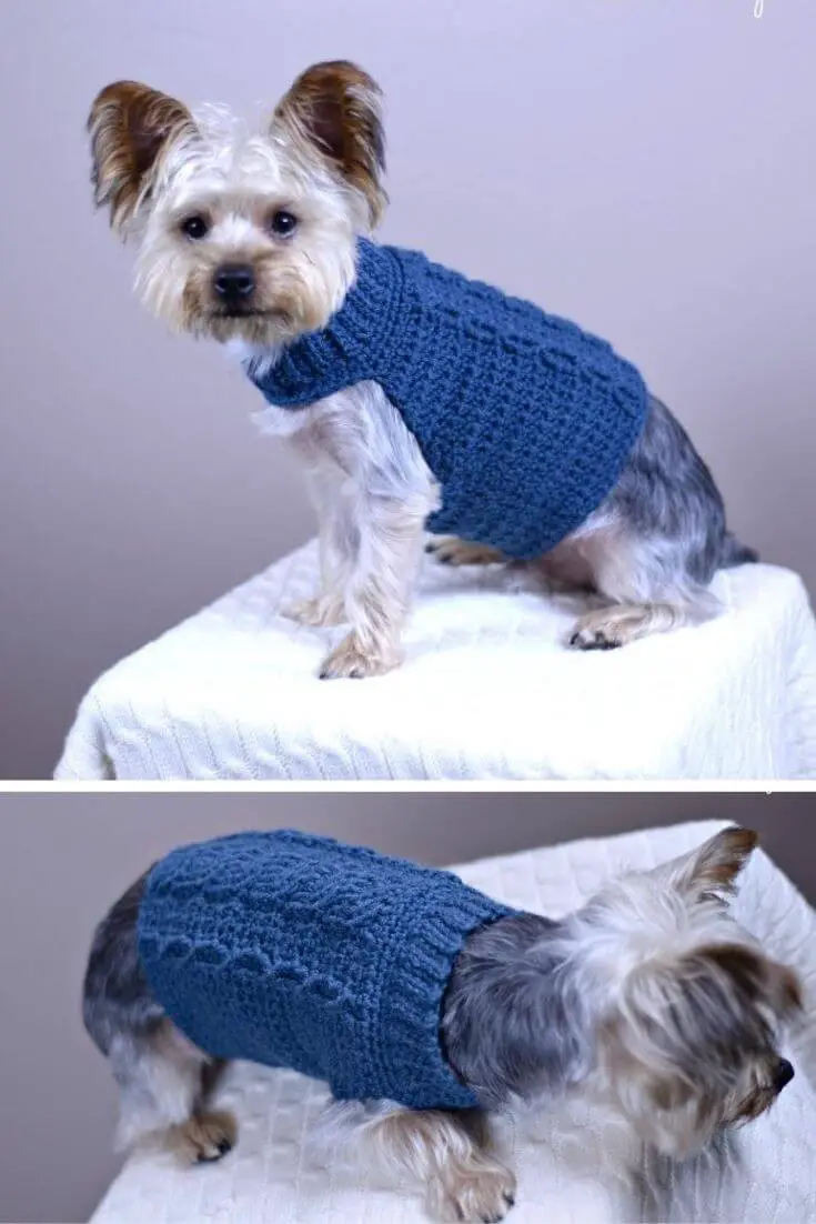 Cabled dog sweater