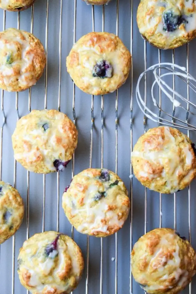 Fat Free Blueberry Lemon Muffins