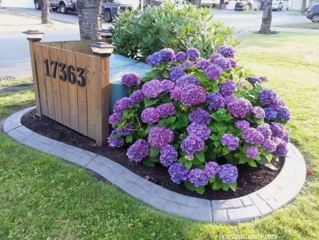 Angled wood fence on a floral bed