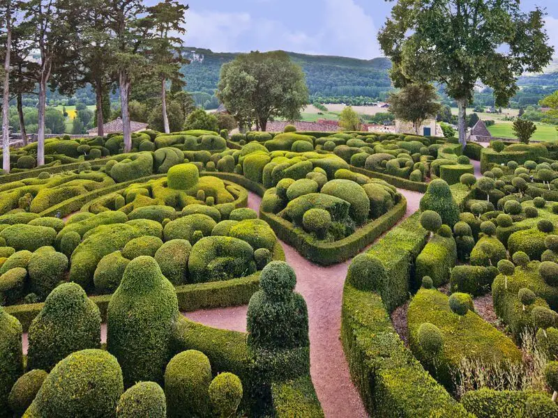 A Topiary