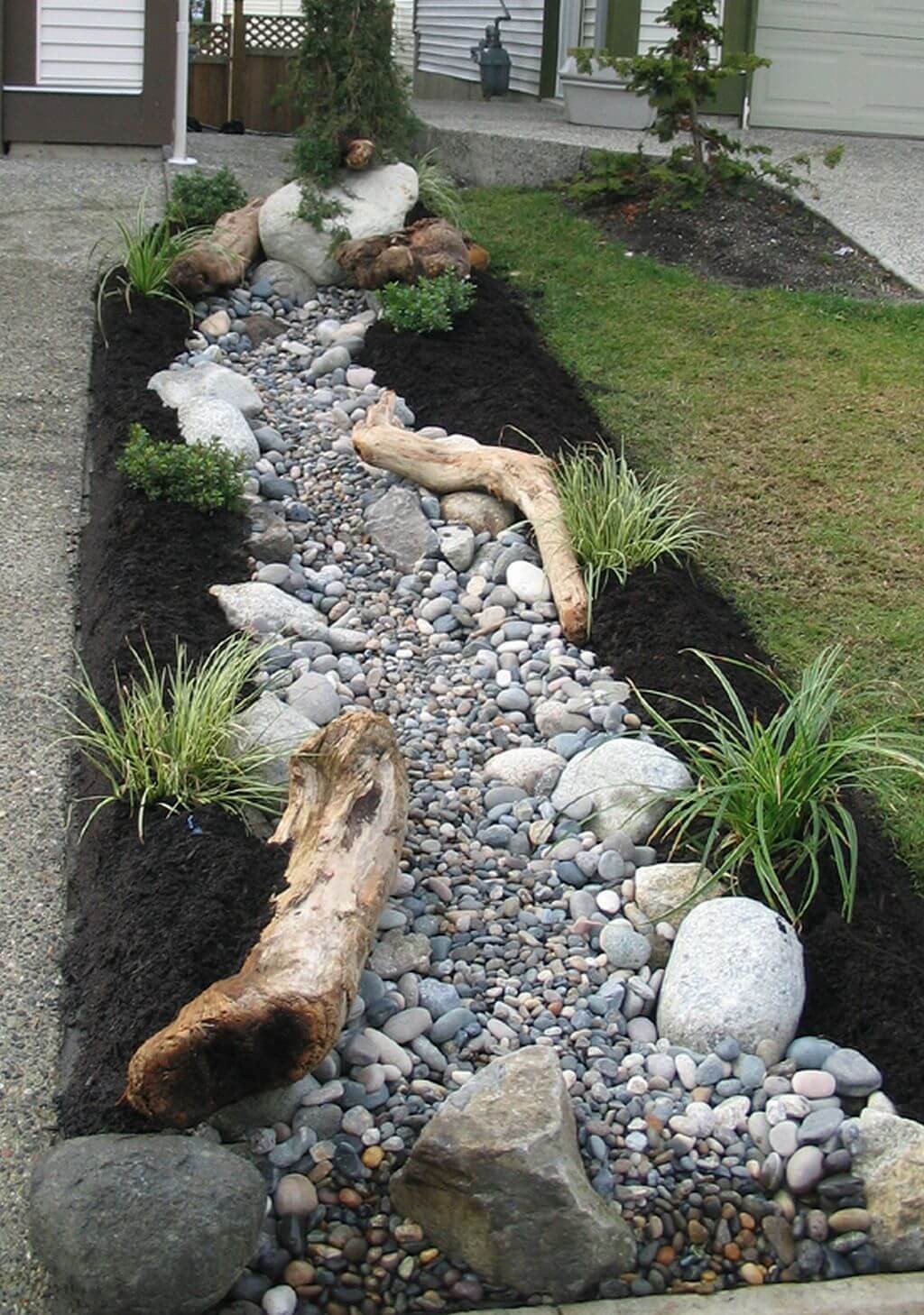 Driftwood garden