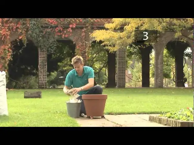 Potted Shrubs: How To Plant A Shrub In Pots (6 Steps)