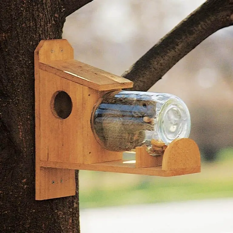 See-through squirrel feeder