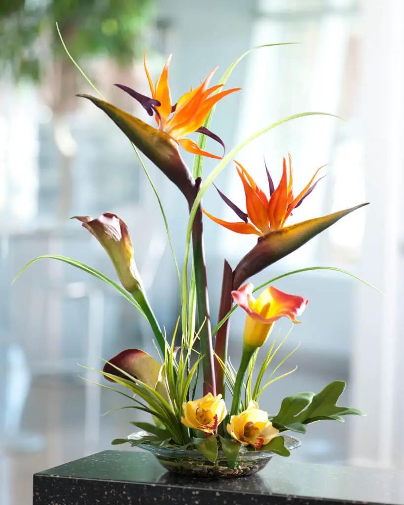 #3. Bird of Paradise & Calla Lily Silk Centerpiece