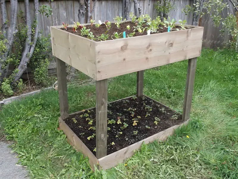 Double tier high waist raised garden bed