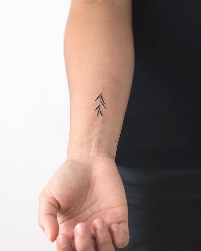 #8. The small olive branch tattoo.