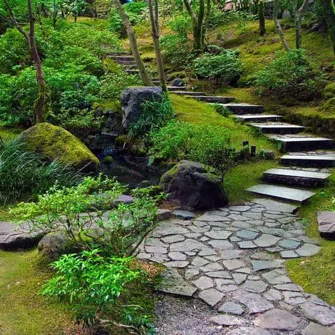 Shade Garden in Japan