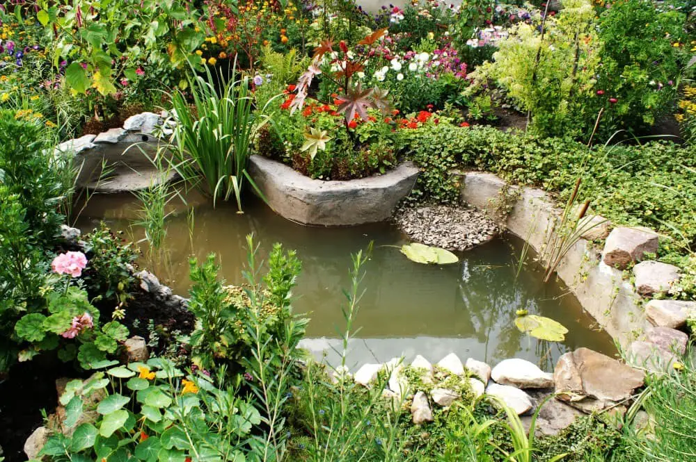 #7. Use water features.