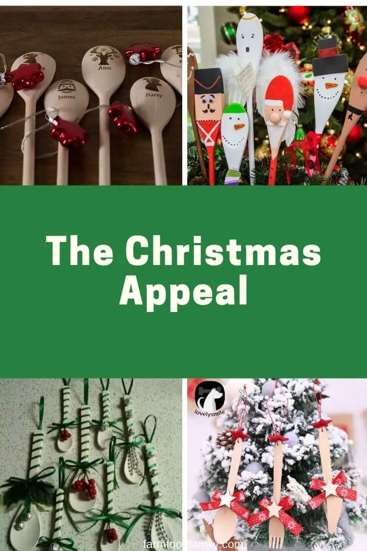 The Christmas Appeal: