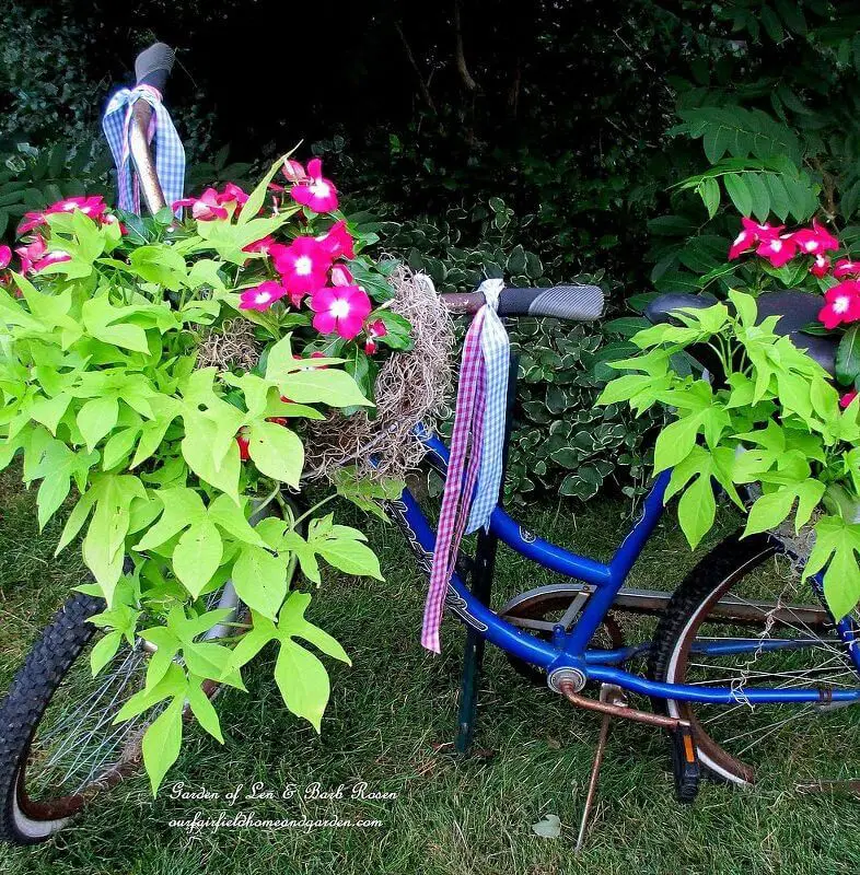 Bicycle planter