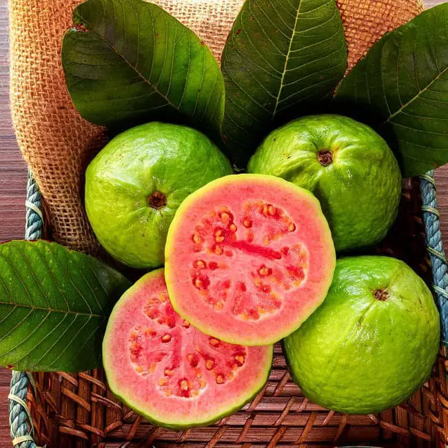 Hong Kong Pink Guava.