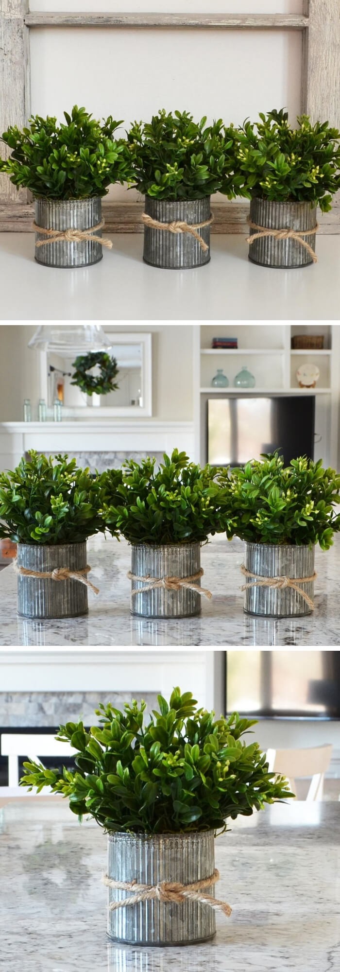 Faux Boxwood