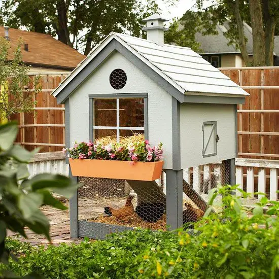 Free Chicken Coop Plan Free Pattern